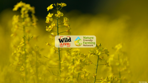 Image of oil seed rape with wild live logo and nature friendly farming logo