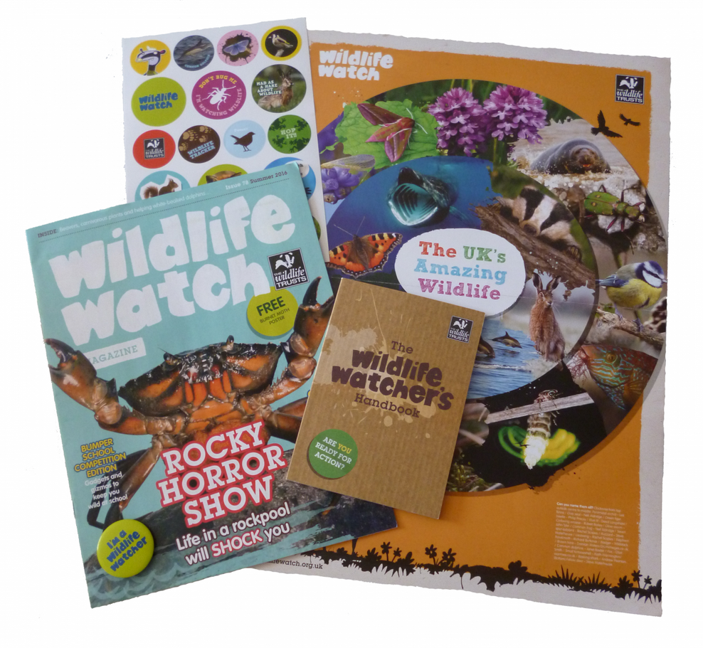 Family Wildlife Trust membership | The Wildlife Trusts