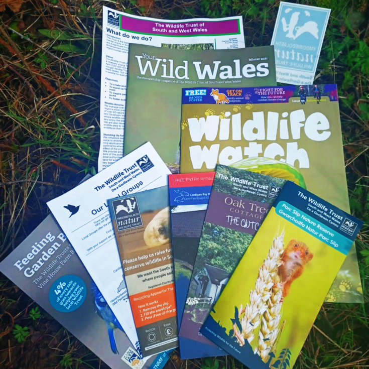 Join The Wildlife Trust of South & West Wales | The Wildlife Trusts