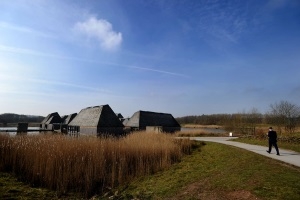 Lancashire Wildlife Trust