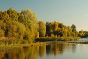 Lincolnshire Wildlife Trust