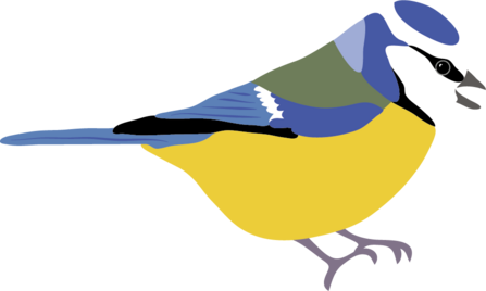 blue tit illustration