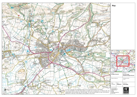 Ecological Network map of Wells (stage 1)