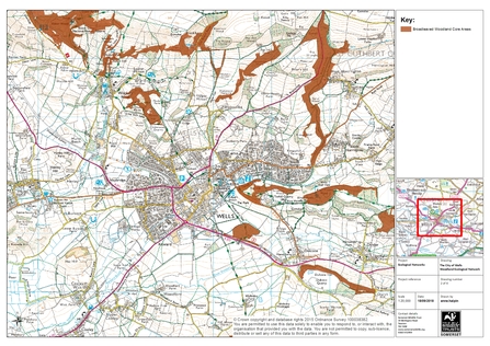 Ecological Network map of Wells (stage 2)