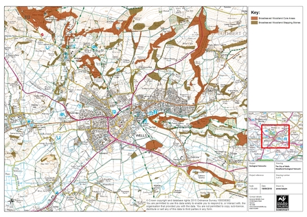 Ecological Network map of Wells (stage 3)