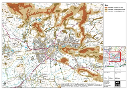 Ecological Network map of Wells