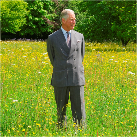 King Charles III at Highgrove Coronation Meadows © Robin Bell