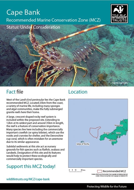 Western Channel and Approaches Marine Conservation Zones | The Wildlife ...