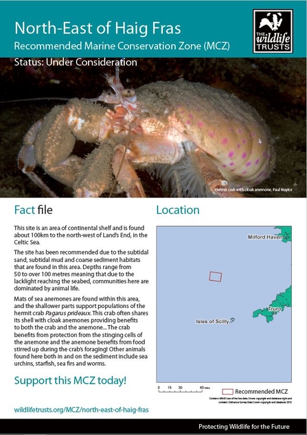 Western Channel and Approaches Marine Conservation Zones | The Wildlife ...