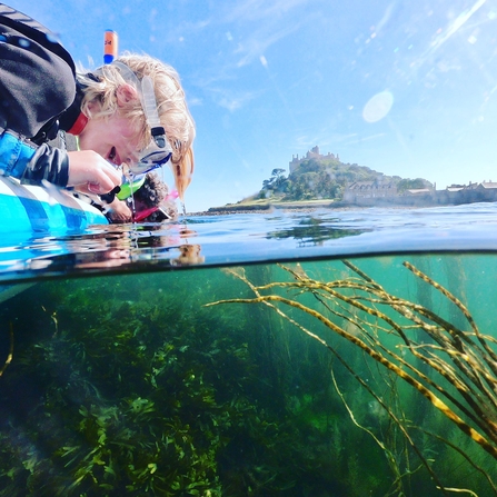 Learning about the underwater life