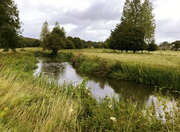 River Eden