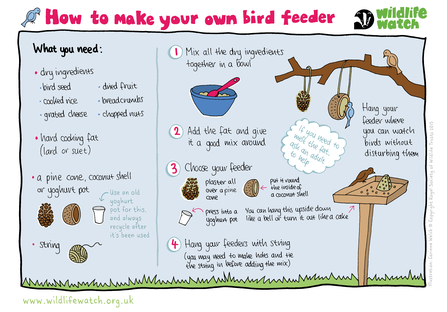 How To Feed Birds In Your Garden | The Wildlife Trusts