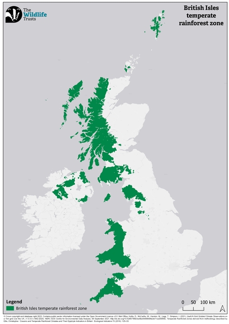 Where to see UK rainforest