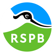 RSPB logo 2023