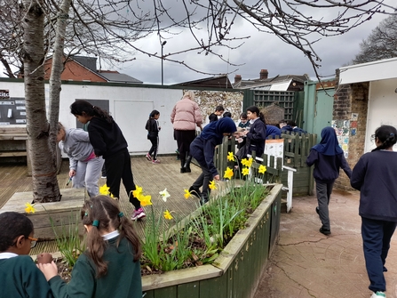 School kids play around a planter with daffodils growing. 