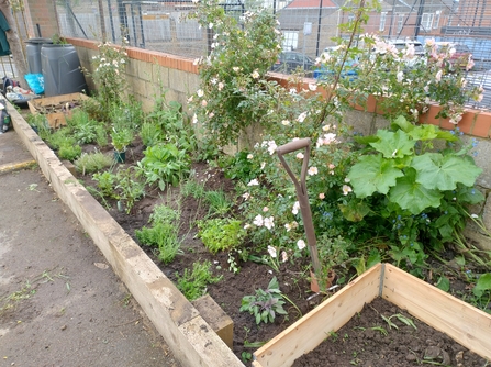 A planter filled with plants on the endge of a school play ground