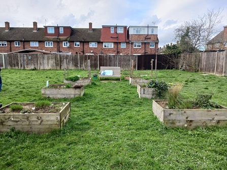 Raised beds surrounded by grass and a bench. Houses can be seen in the background. 