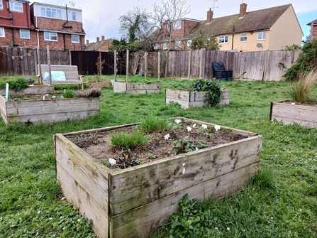 Raised bed with plants growing and other planters in the background. 