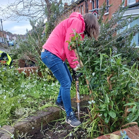 Volunteer digging in a brick planter with houses in the background