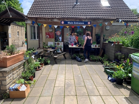 Plant stall with a school building in the background. 