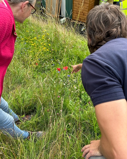 Person points ar wildflowers beginning to flower. 