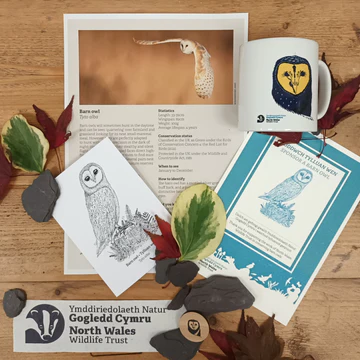 Information materials included in a barn owl adoption pack