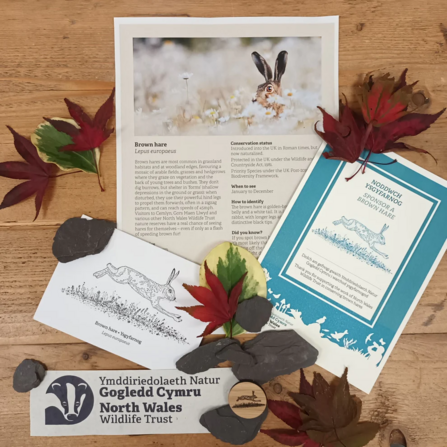 Information materials included in a brown hare adoption pack