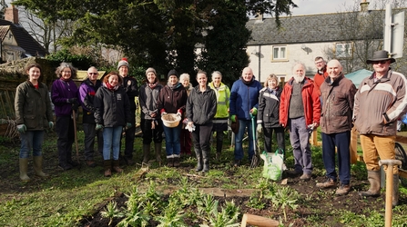 A large group of volunteers gather in a community garden. 