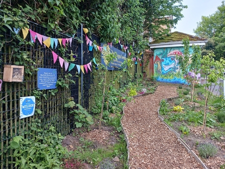 A newly planted orchard with a path running through the centre and a bright mural in the background. 