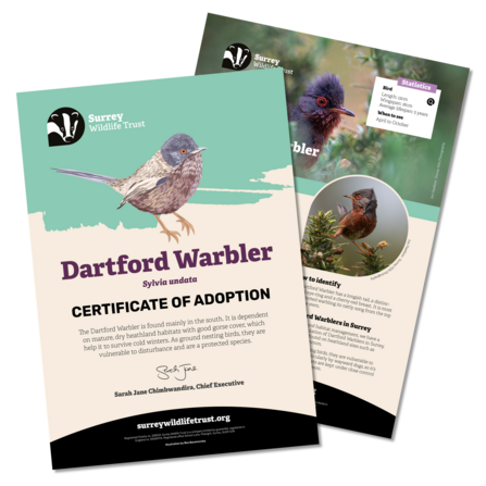 Information materials included in a dartford warbler adoption pack