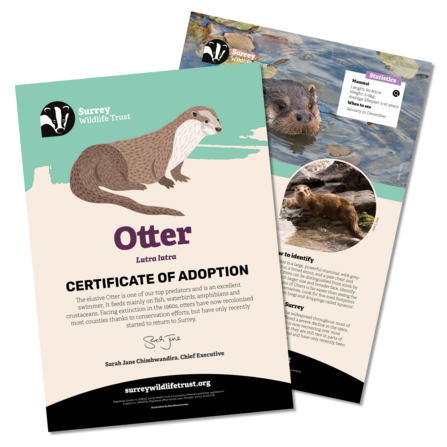 Information materials included in an otter adoption pack