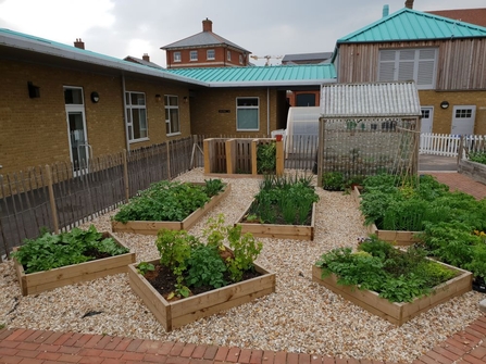 Raised beds in school grounds. 