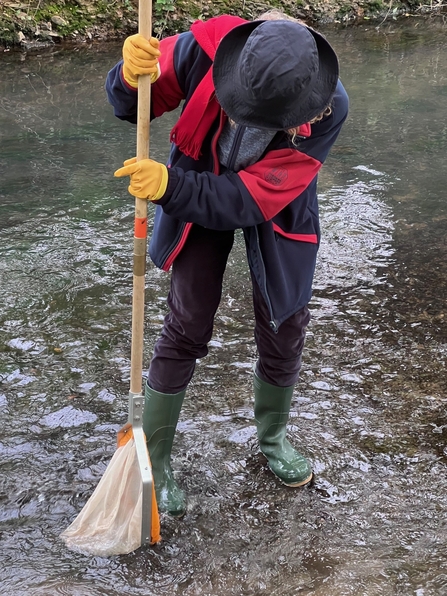 A volunteer stands in a brook catching sediment with a net