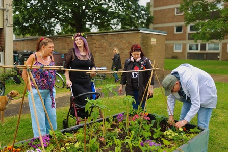 Group of people gather around a raised bed containing plants and vegetables