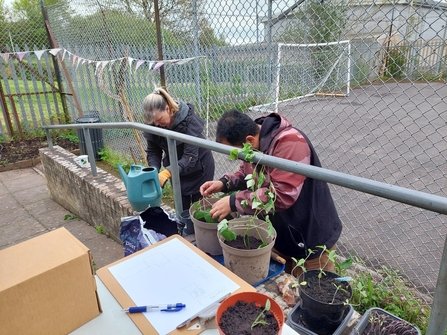 Volunteers plant seedlings with an outdoor playing area behind them. 