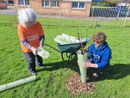 Two people place tree guard around newly planted tree. 