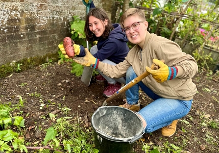 Two young people harvest potatoes on a small patch of garden. 