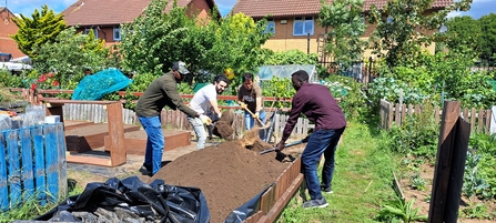 Three people dig a bed in an allotment