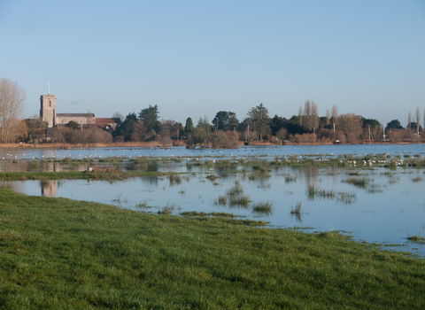 Coastal and floodplain grazing marsh