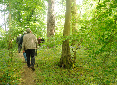 30 Days Wild care homes