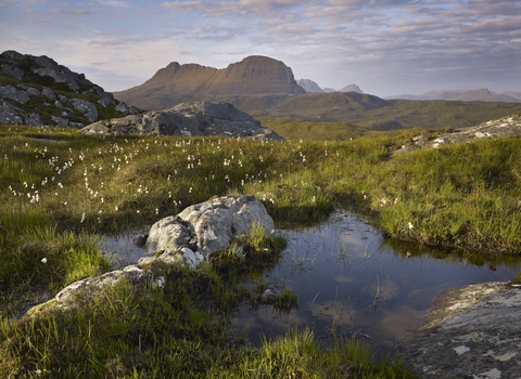 Suilven mountain in Scotland in the background. In the foreground is boggy land, with grassy mounts and pools of water