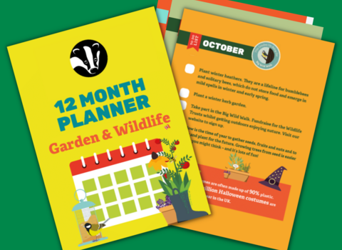 12 month planner, green background