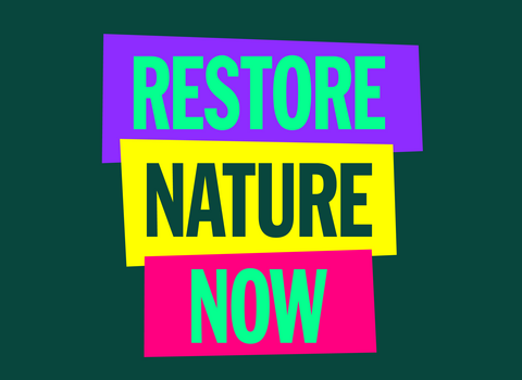 Restore Nature Now logo