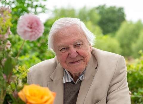 Sir David Attenborough sitting at a table outside with a vase of flowers in the foreground