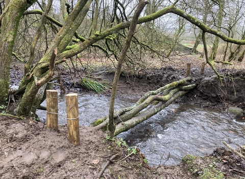 Leaky Dams Derbyshire