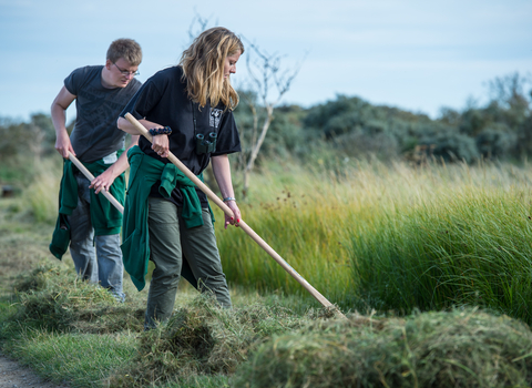 Corporate Volunteer with The Wildlife Trusts