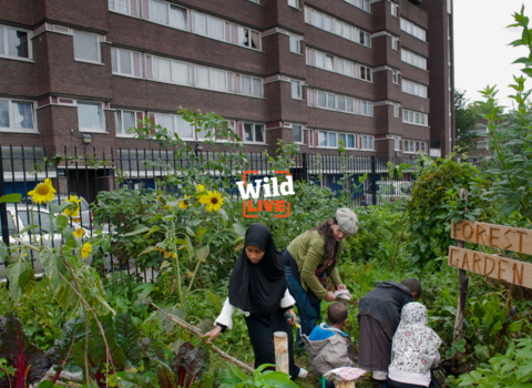 people in community garden outside of apartment block