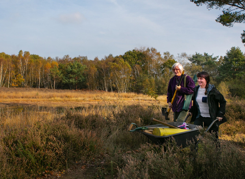 volunteers in Surrey