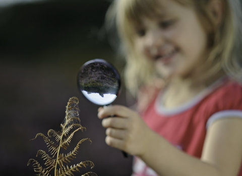 Young girl looking at spider in web on heathland in summer Suffolk Sandlings